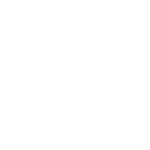 pal logo white